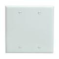 Cmple Blank 2 Gang Thermoplastic Panel Wall Plate GFCI, White 232-N